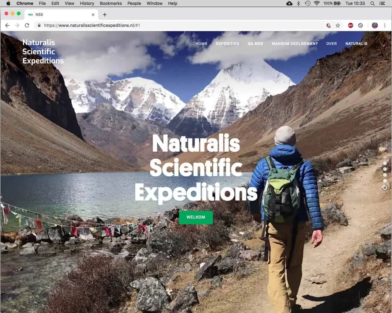 Website